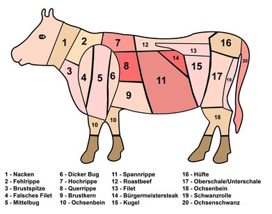 Skizze der Fleischeinteilungen eines Rind